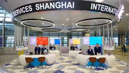 上海浦東機場外籍人員一站式綜合服務中心啟用 促進國際化營商環(huán)境建設